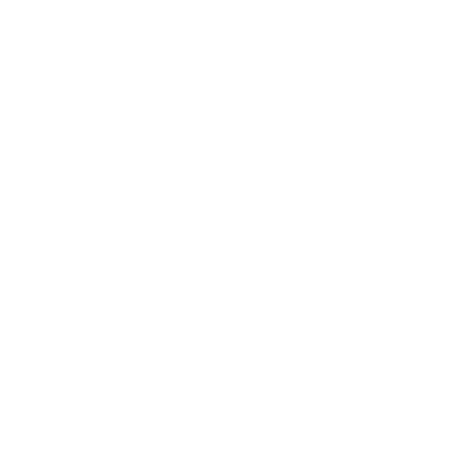 Asset