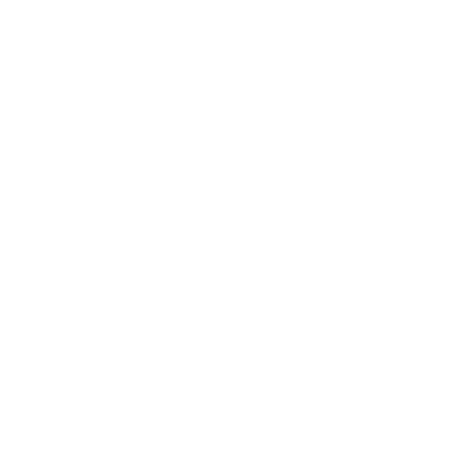 Asset