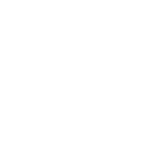 Asset