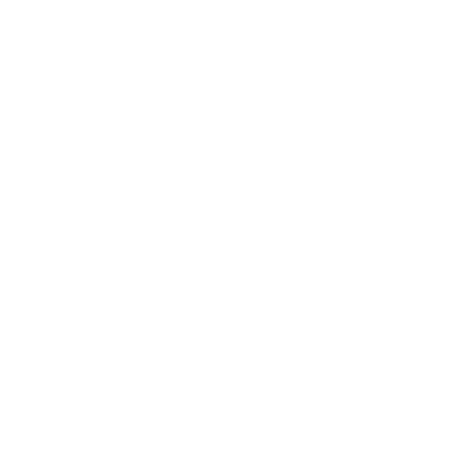 Asset