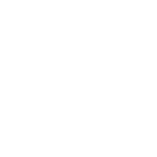 Asset