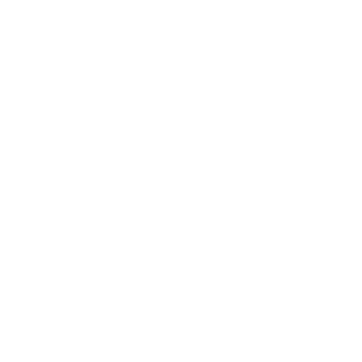 Asset