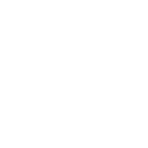 Asset