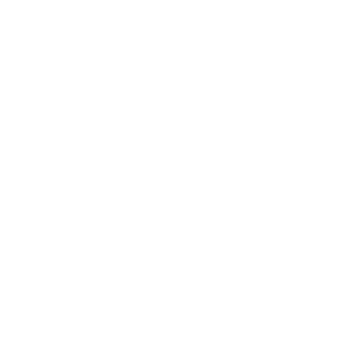 Asset