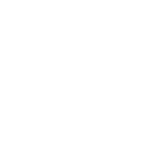 Asset